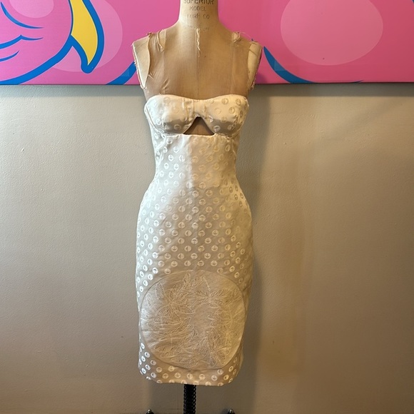 Alexander McQueen Ivory Silk Bustier Dress Dragon Fly Print Asian NWT - Picture 2 of 14